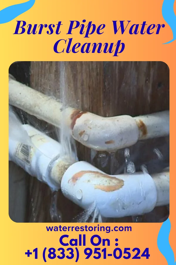 Burst Pipe Water Cleanup in Utica, MI