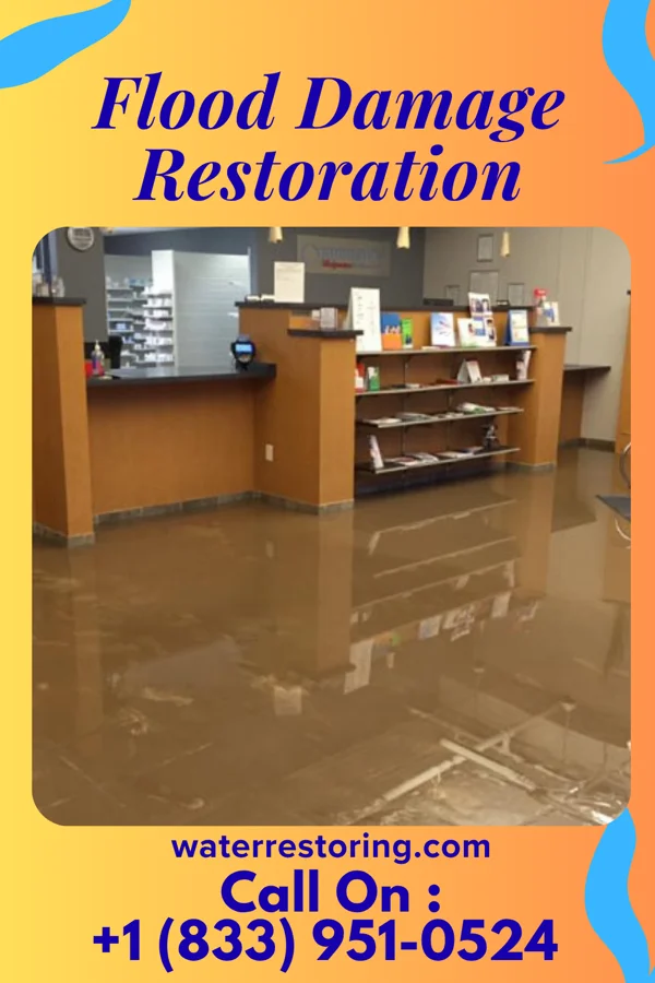 Flood Damage Restoration in Utica, MI
