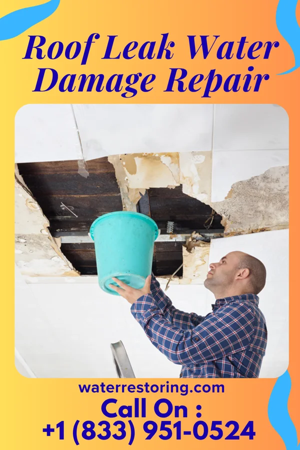 Roof Leak Water Damage Repair in Utica, MI