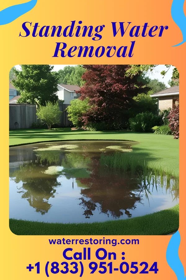 Standing Water Removal in Utica, MI